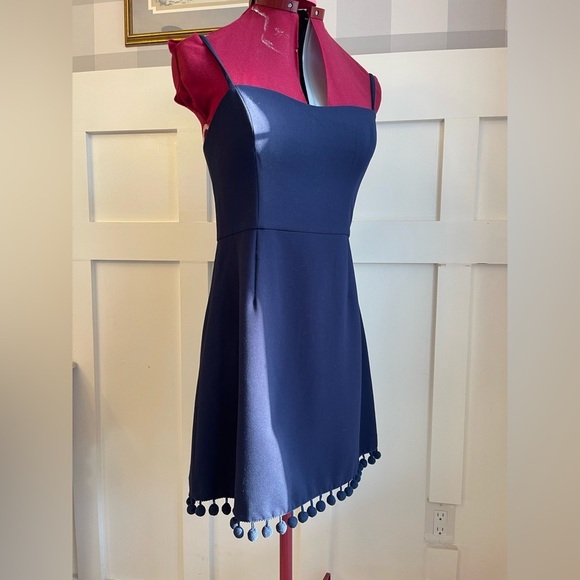 French Connection Sleeveless Dress with Pom Pom Detail Size 8 - Picture 2 of 8